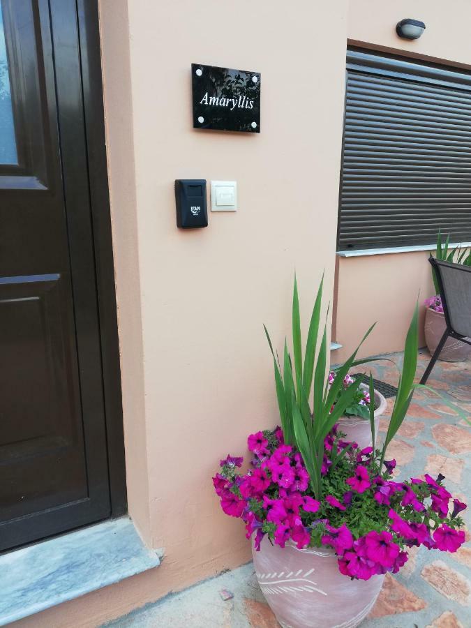 Dimitra - Loft Apartments Corfu  Buitenkant foto